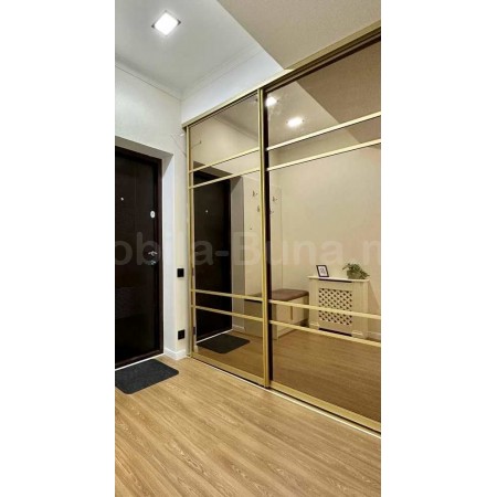 Двери-купе для встроенного шкафа 